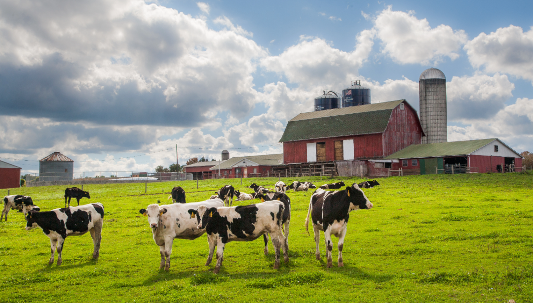 farm